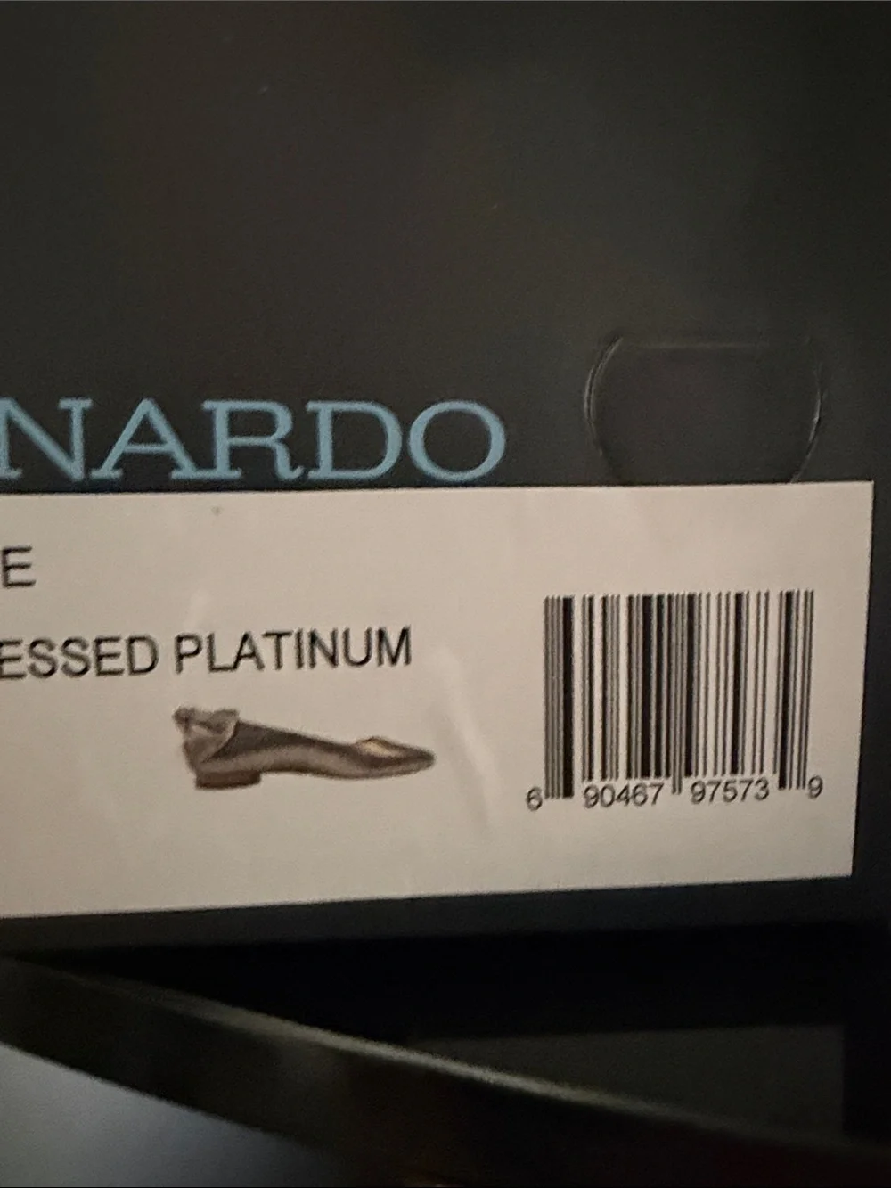 Bernardo Metallic Platinum Ballet Flats